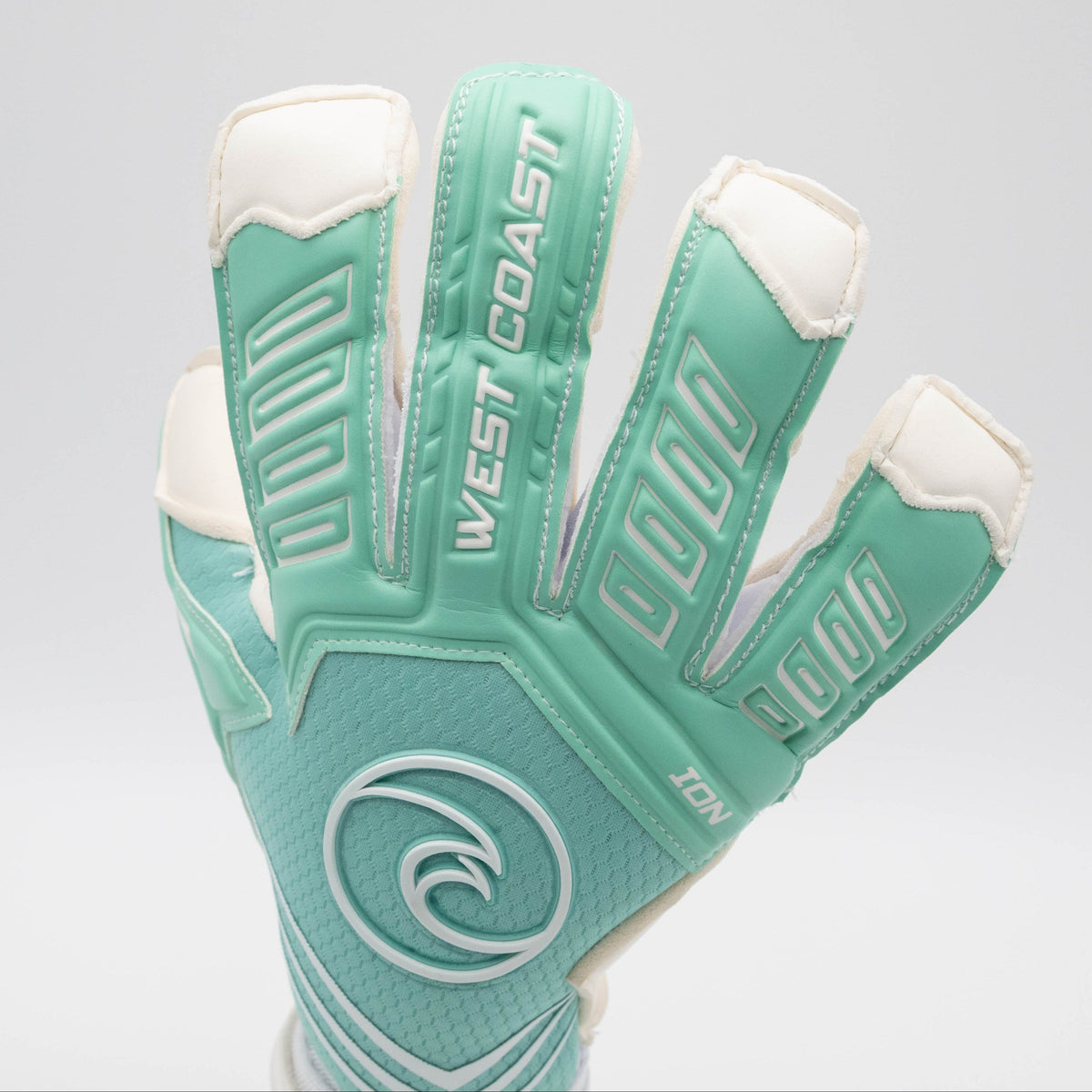 ION Lagoon - West Coast Goalkeeping