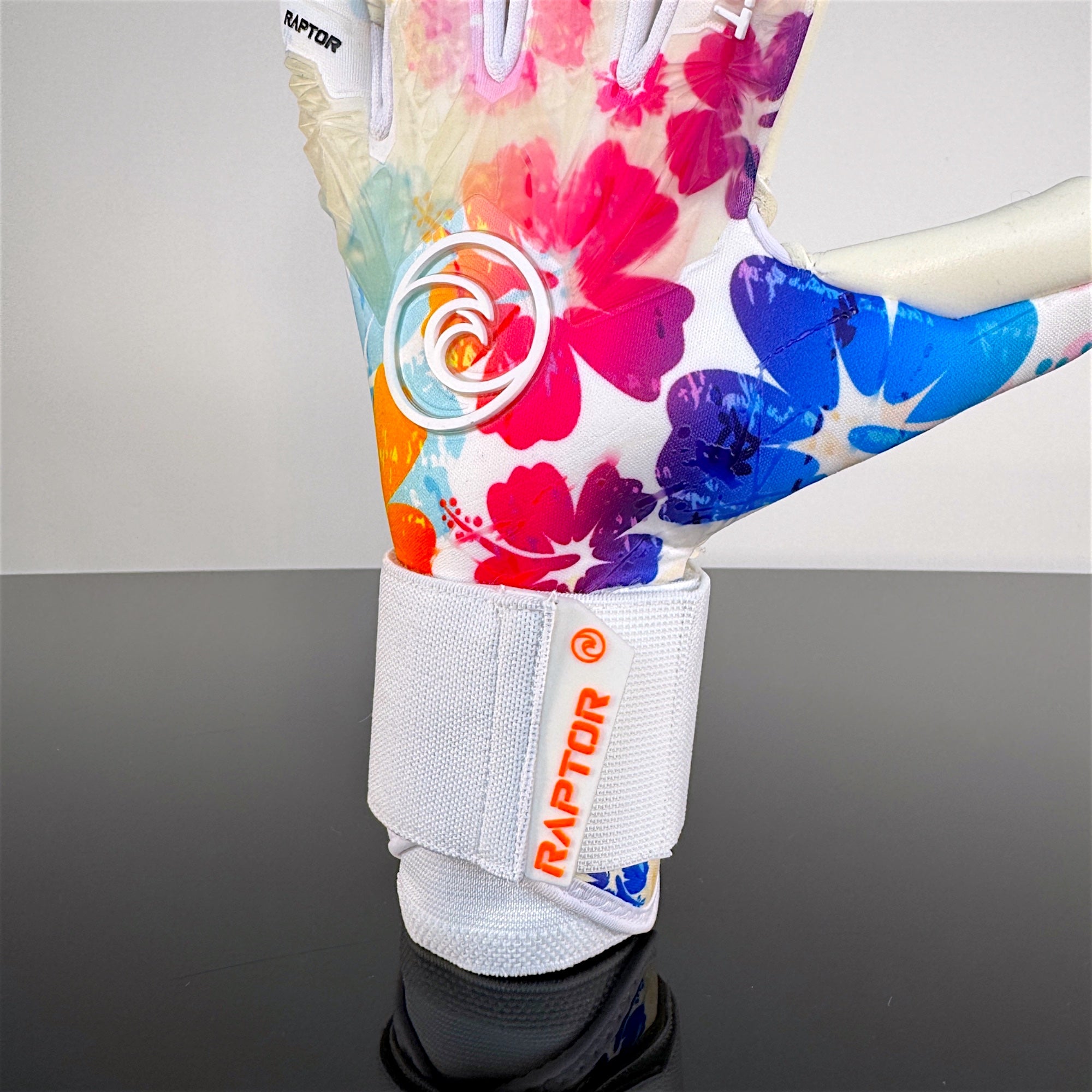 Raptor Aloha