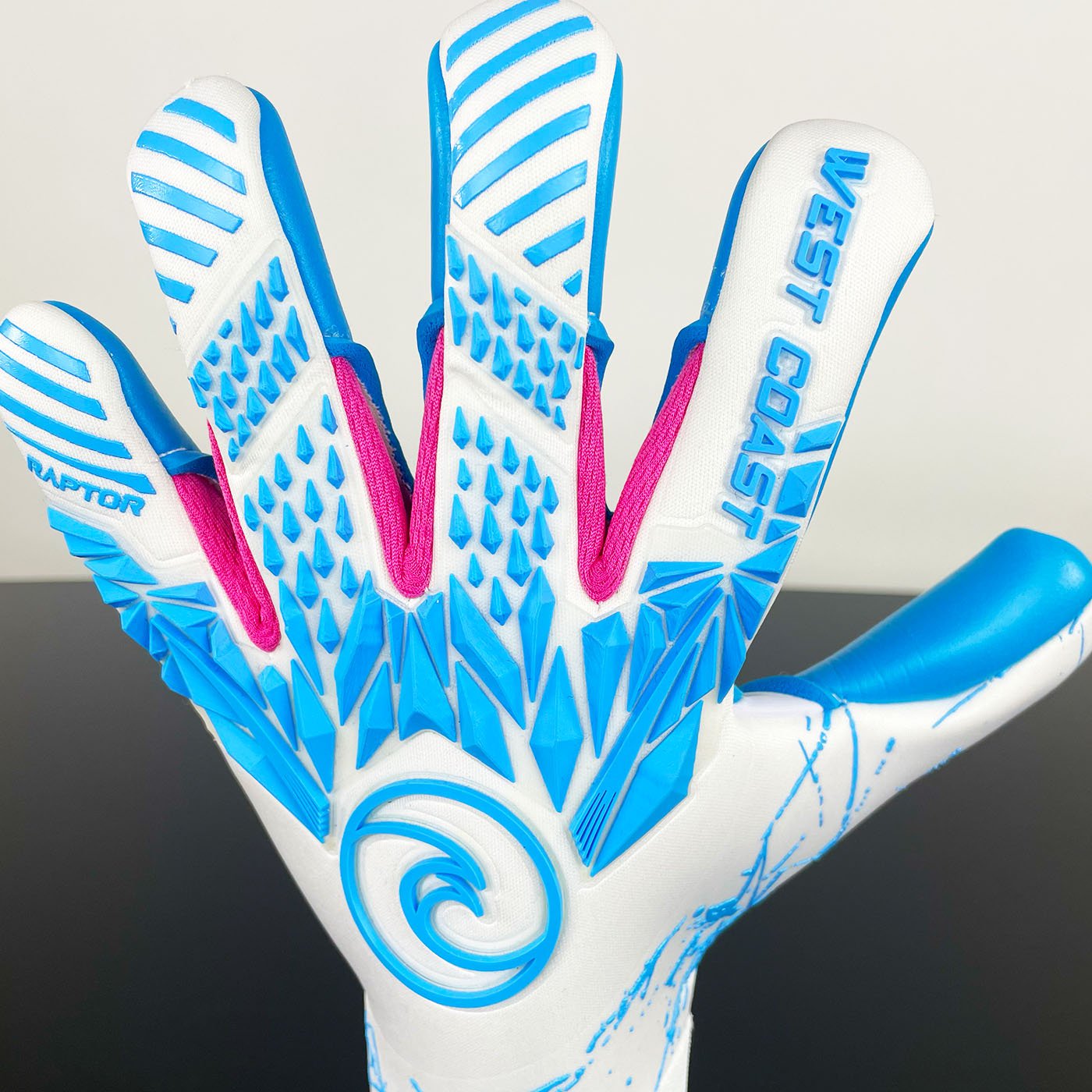 Raptor ™ Typhoon - West Coast Goalkeeping