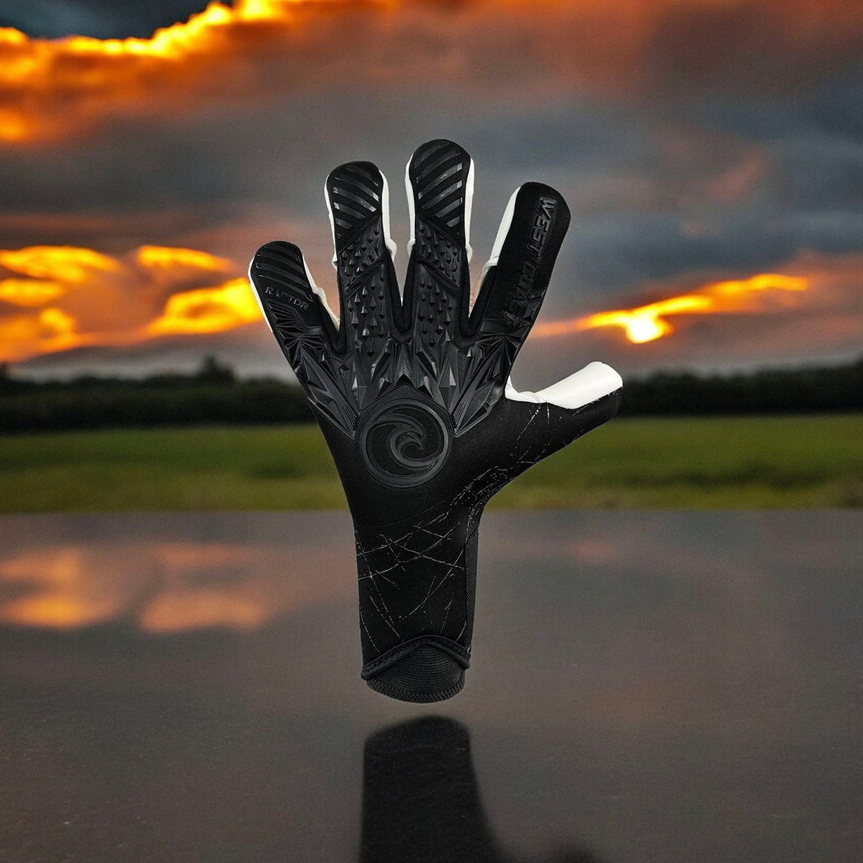 Raptor Shadow - West Coast Goalkeeping